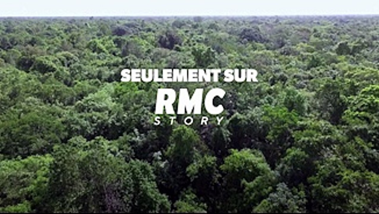 Retour à l'instinct primaire