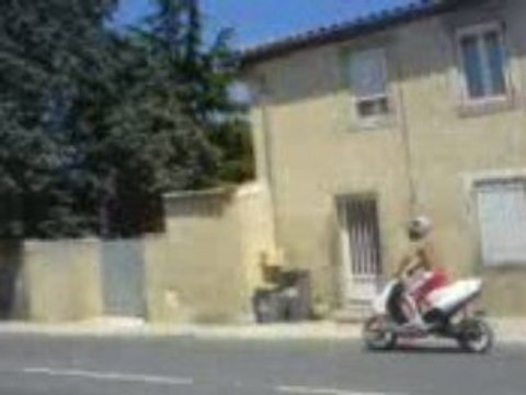 stunt scoot 50