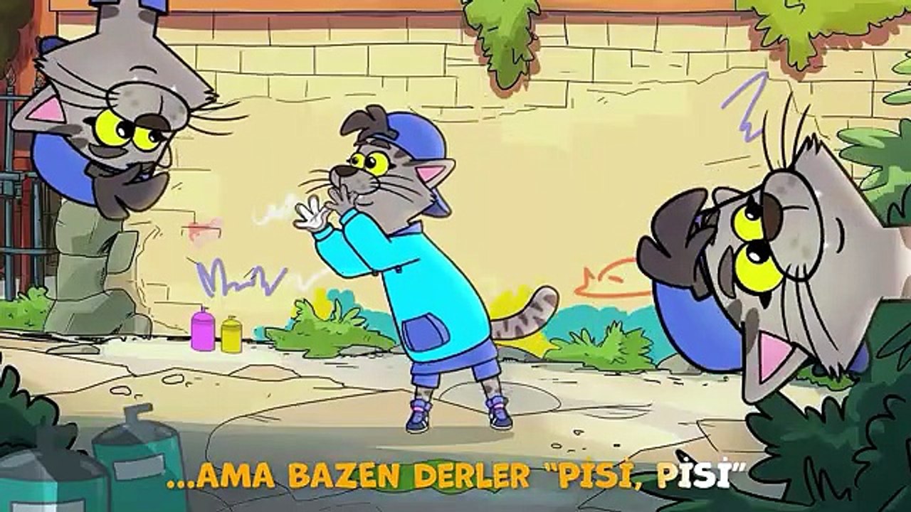 Kucho Süper Sıradan Köpek - En Havalı Kedi Şarkısı