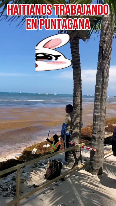 Haitianos Trabajando en Punta Cana