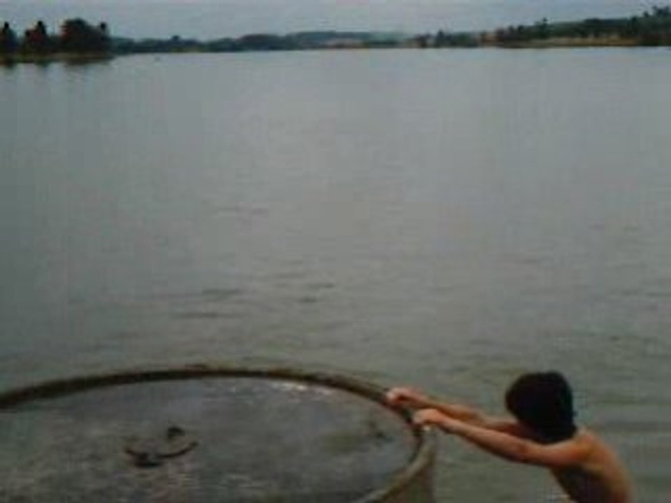 Nico Salto Arriere