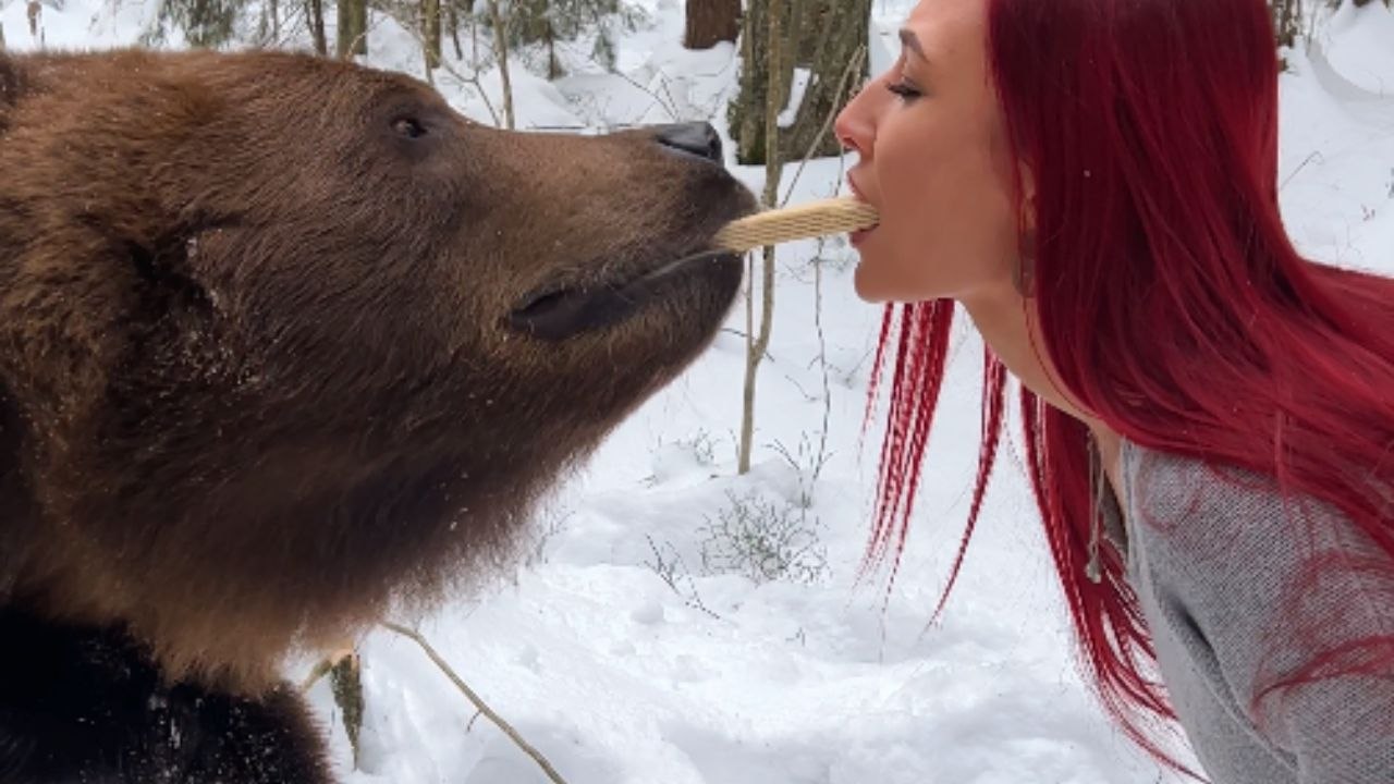 Girl Meets Her Dream Bear in Reality