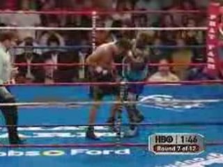 Andre Berto - Champion WBC