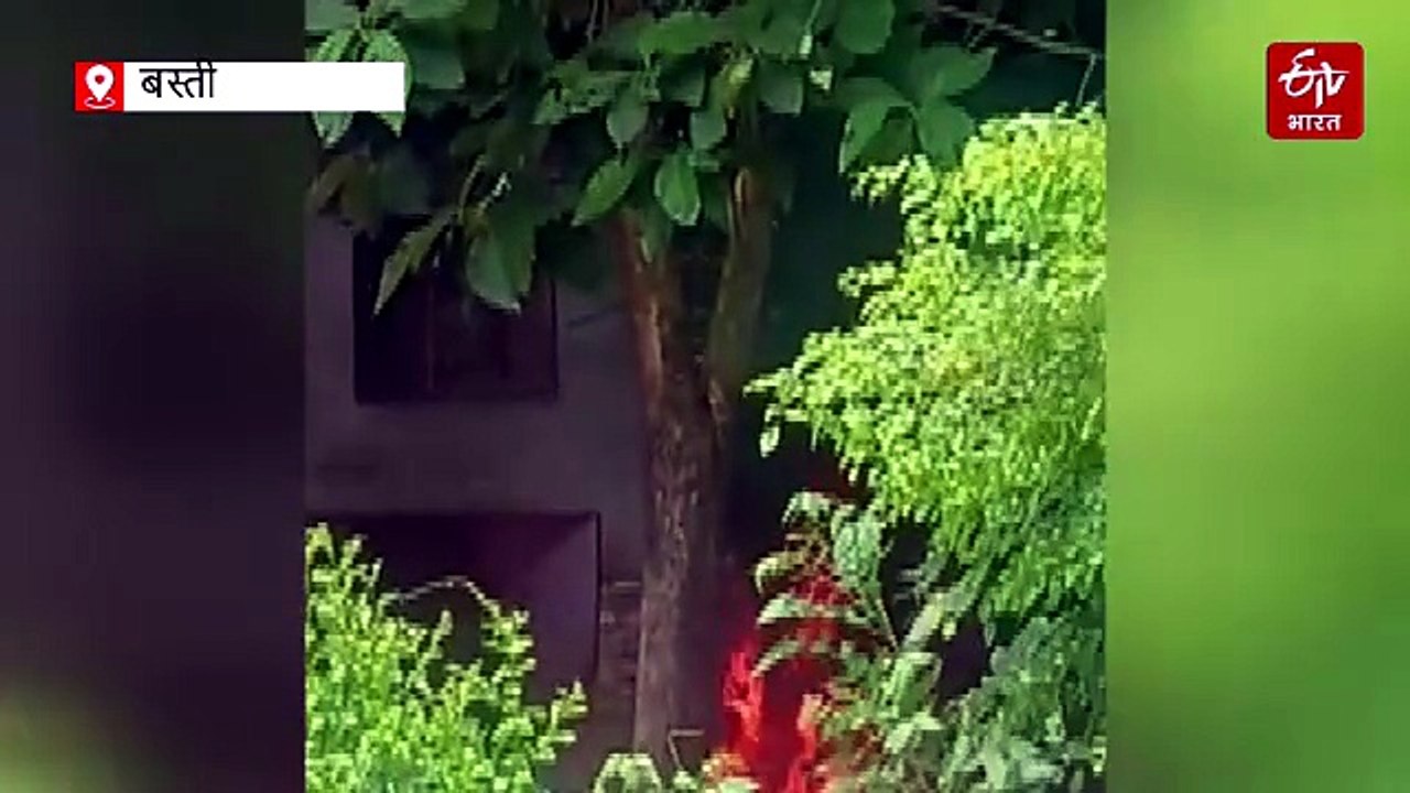 लखनऊ-गोरखपुर हाईवे पर चलती रोडवेज बस में लगी आग...