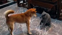 ​"Bro Thought He Had Smooth Moves Until Slipping On Tile! 😭"