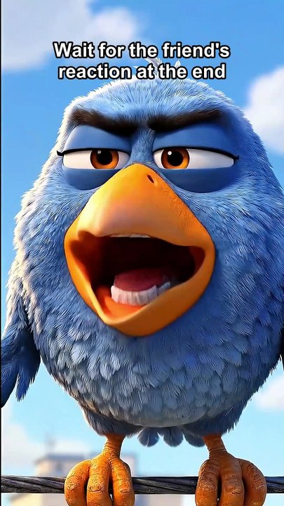 How do you even wake up 12 times?! 😴 #talkingbirds