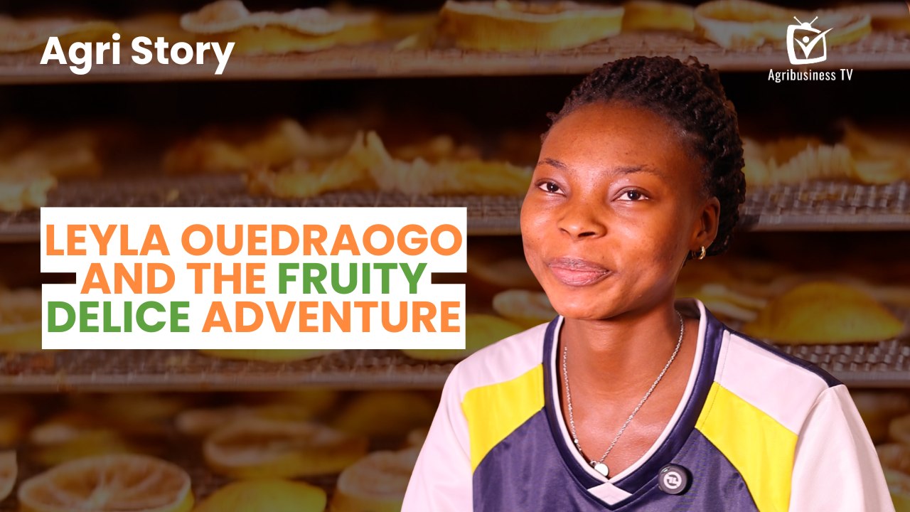 Agri Story : Leyla OUEDRAOGO and the Fruity Delice adventure