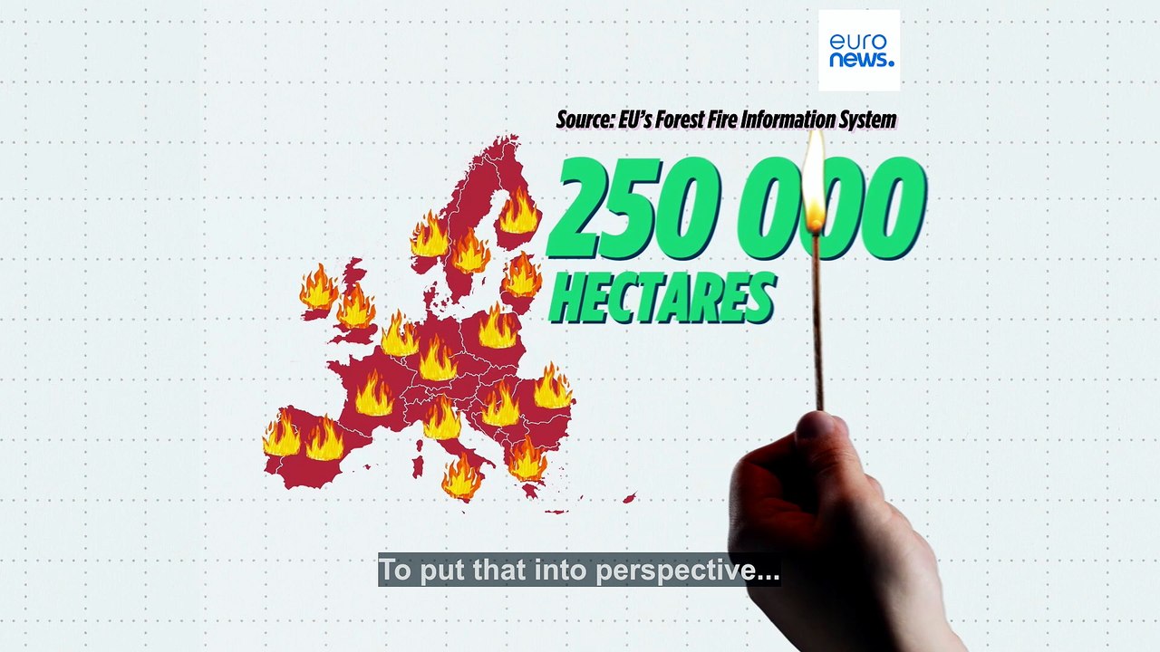 Wildfires: Europe on track for worst year on record as burned area reaches size of Luxembourg