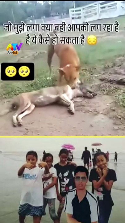 Dogs Unbelievable Action || Event Zindagi Bewafaa To Nhi
