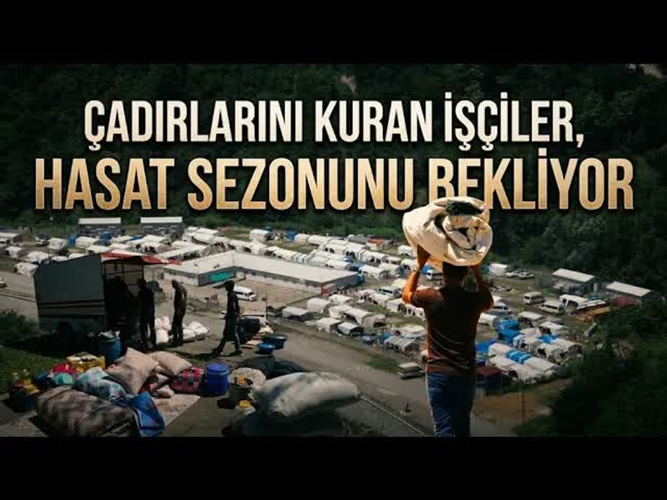 Mevsimlik tarım işçileri fındık hasadı için Ordu'da