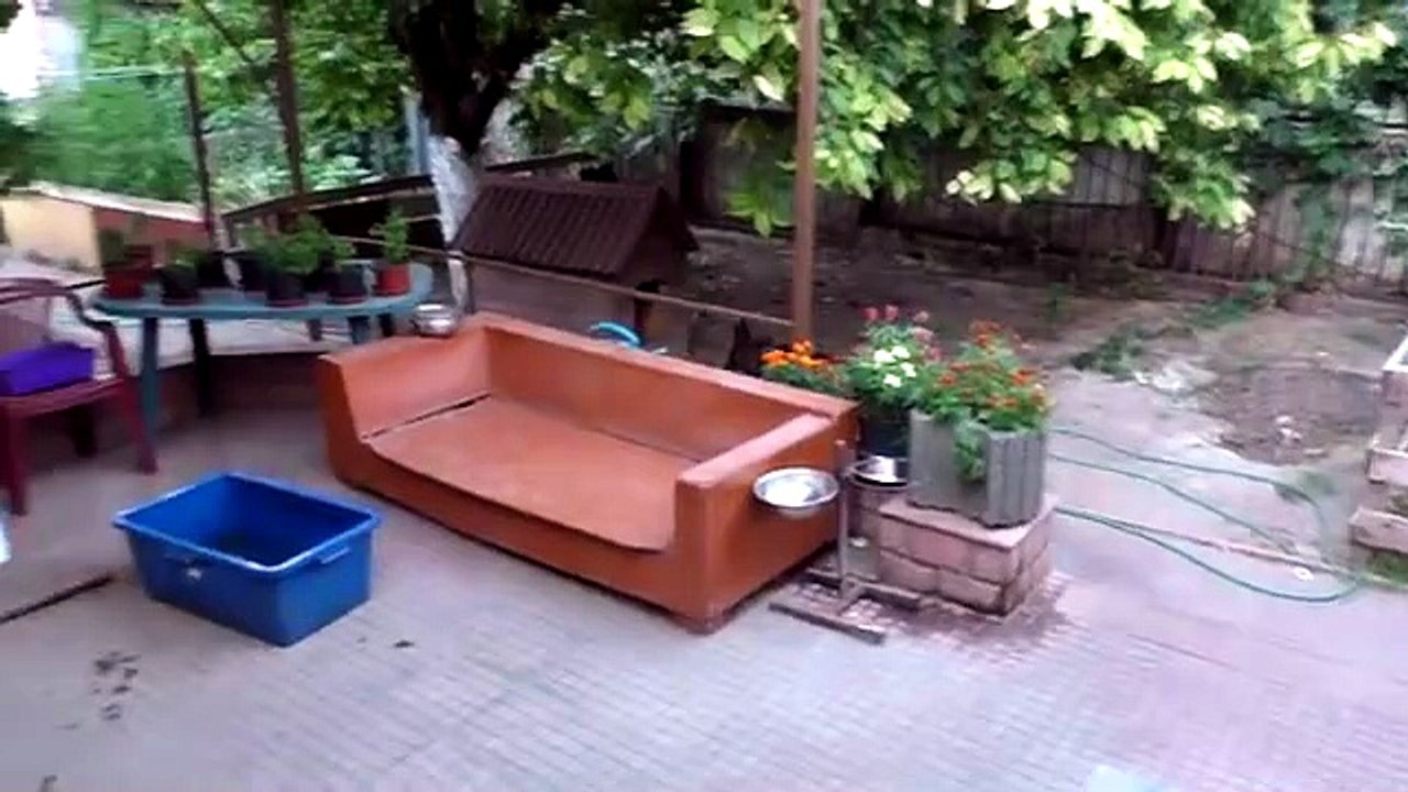 БЫСТРЫЙ СПОСОБ ПОХУДЕТЬ Немецкие овчарки. Fast way to lose weight German Shepherds