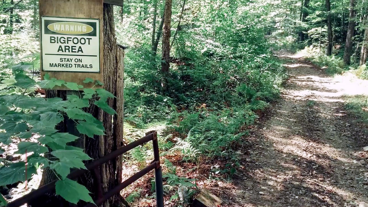 Wildtierbiologin erinnert sich an 'schwarzhaarigen Bigfoot', der ihr Auto umkreiste