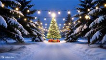 雪の中で見るクリスマスツリー