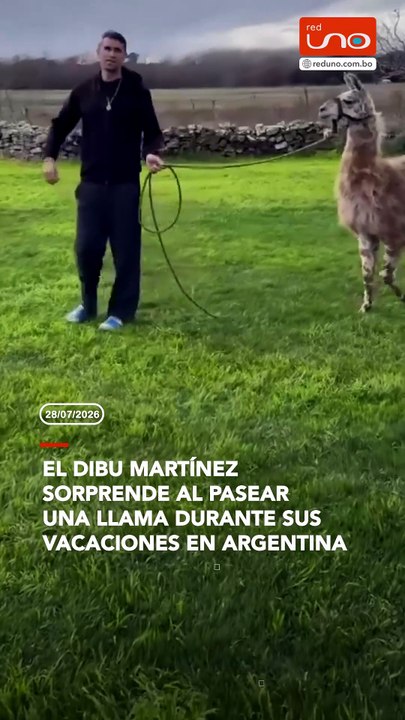 El arquero argentino Emiliano "Dibu" Martínez volvió a llamar la atención, esta vez al ser visto paseando una llama durante sus vacaciones en Argentina.