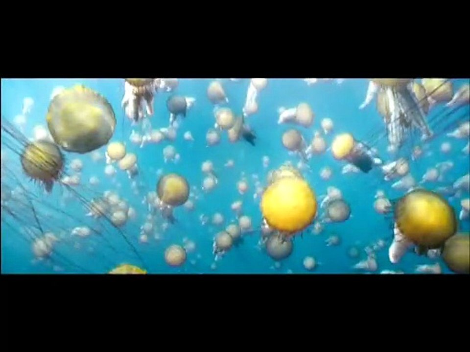 Océans