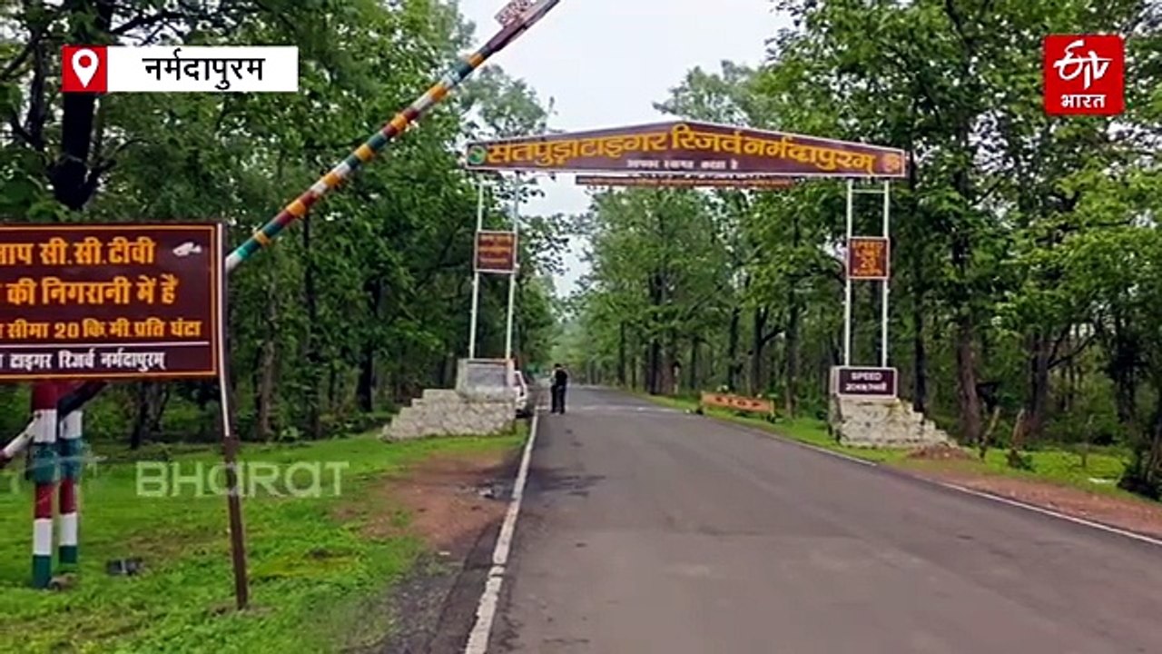 सतपुड़ा टाइगर रिजर्व में बाघों की रिवाइल्डिंग,...