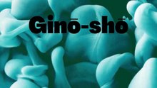 Ginō-shō