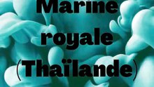 Marine royale (Thaïlande)