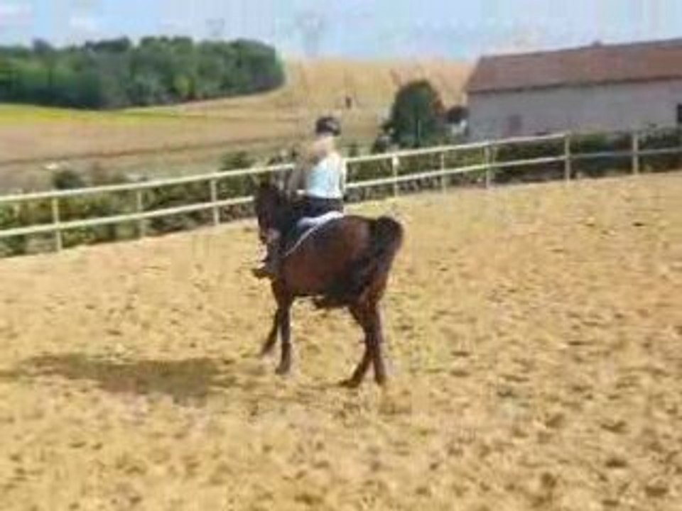 New au galop le 08_07_09