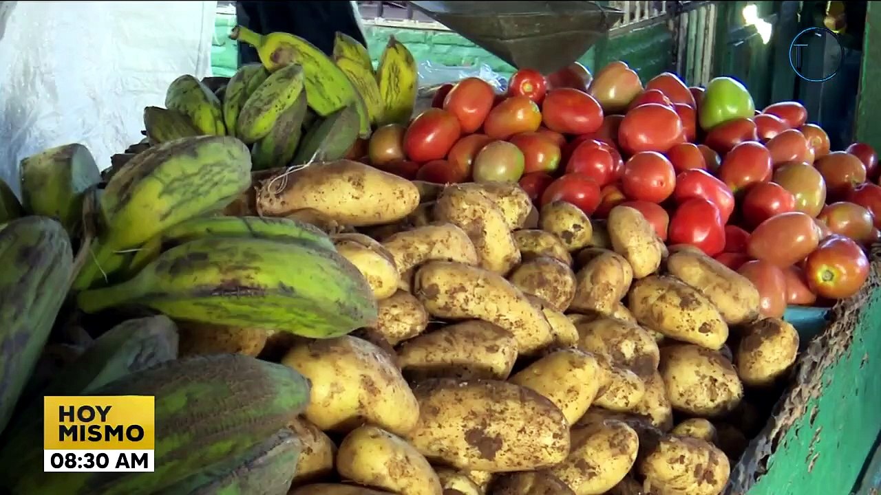 Impacto de alzas de combustibles en la economía es del 25% según CEPAL