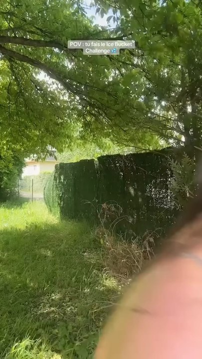 TOUT ÇA À CAUSE DE SHAYVISE 😭
