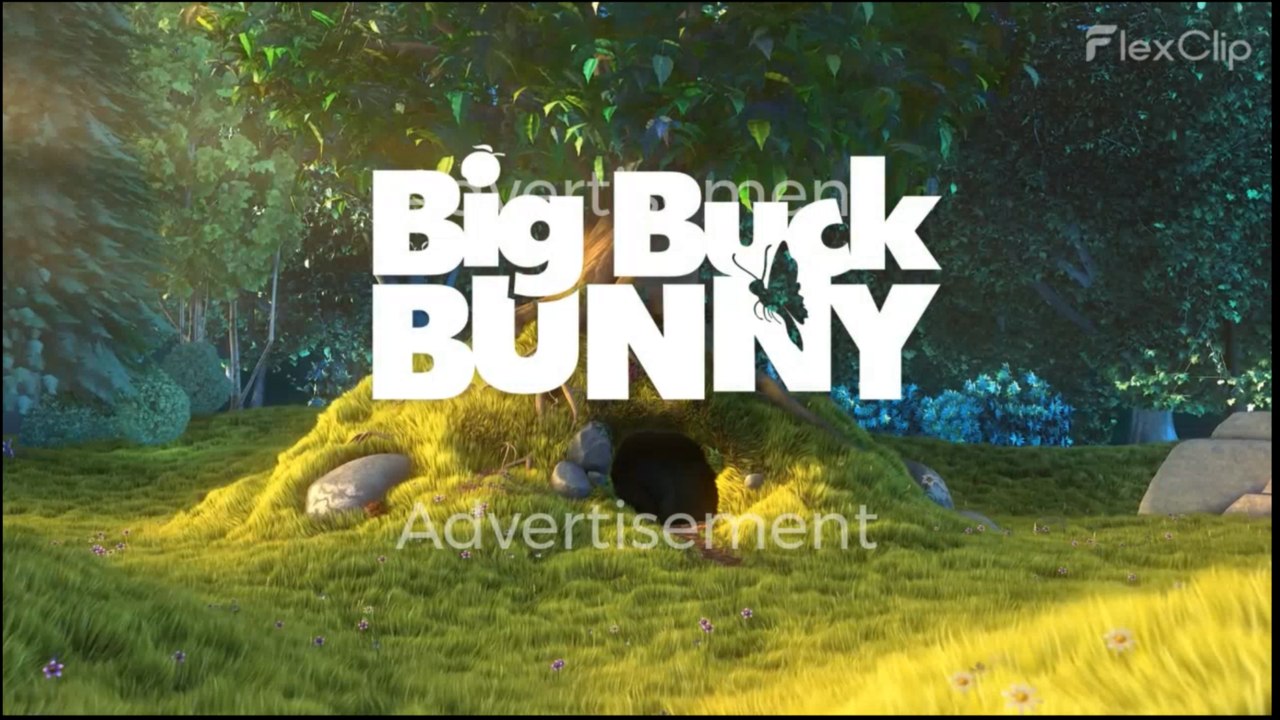 Episode 13 - Bunny