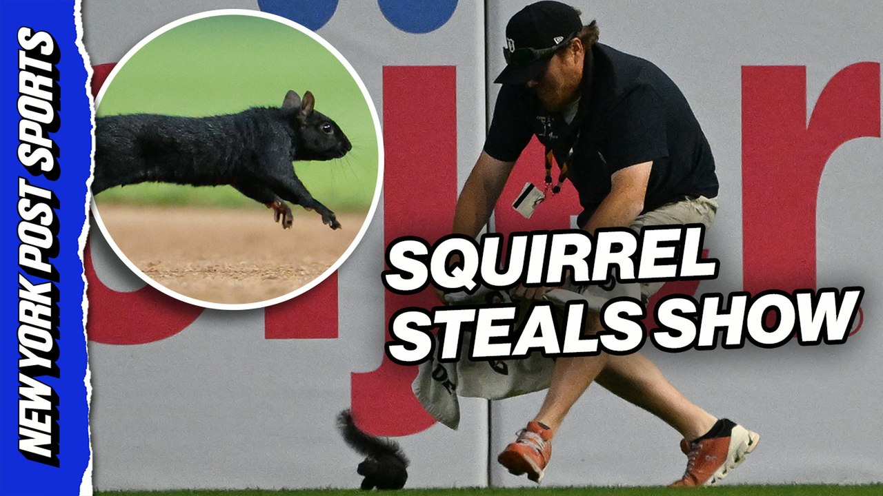 Squirrel invades Tigers-Orioles game — and grounds crew is powerless to stop it