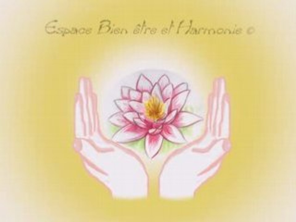 Intro lotus 2.avi