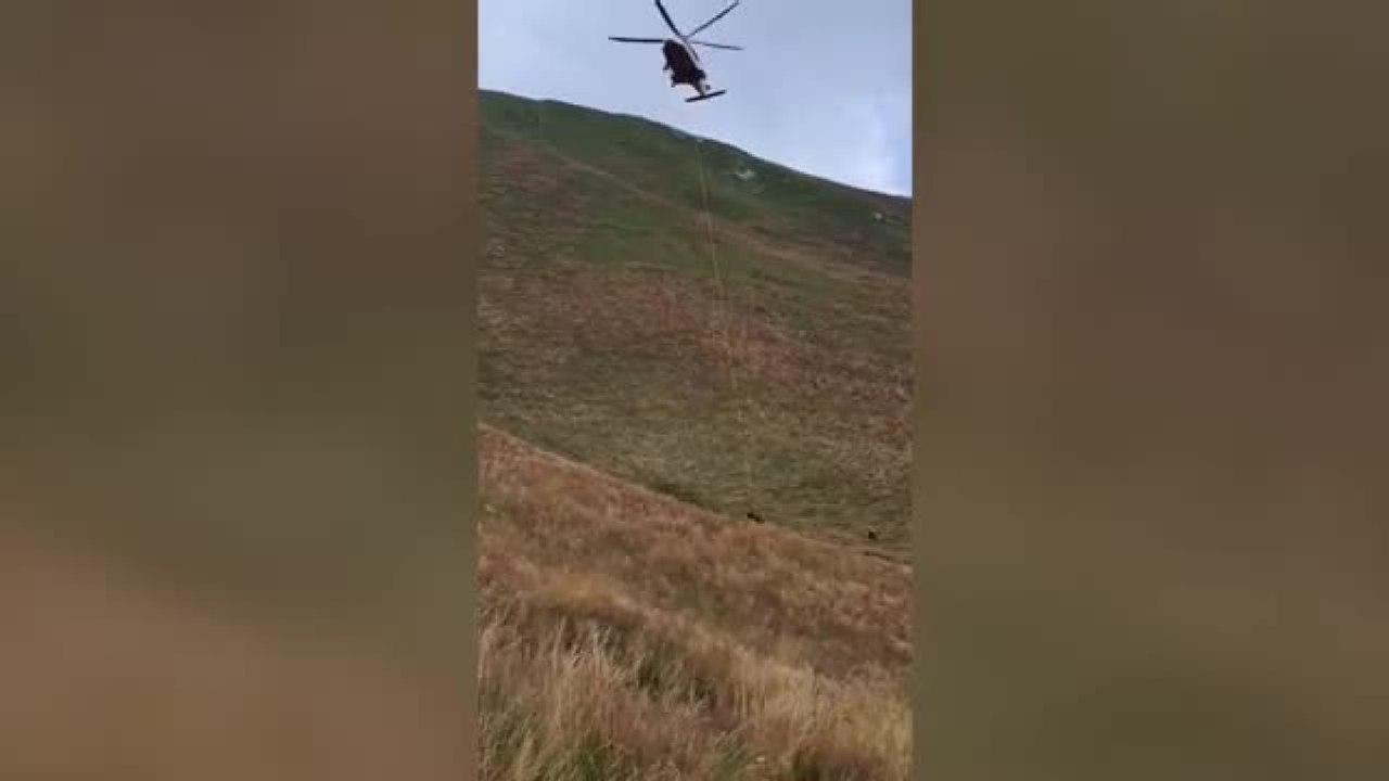 Dolomiti, asina cade in un dirupo: salvata dall’elicottero
