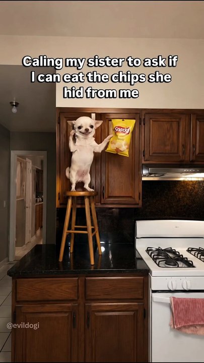 We all have that sibling 😄
