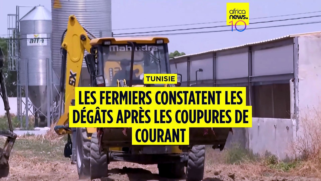 Tunisie : des fermiers évoquent des ''pertes énormes''  après les coupures d'électricité