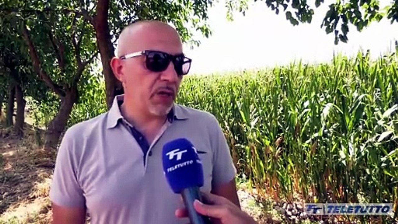 Video News - Varno libero, area vietata per 10 giorni
