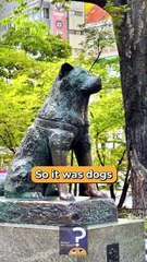 How we Tamed Wolves