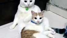 Happy hours. . 😸😸😸
