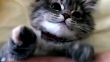 So Cute 😍😍😍