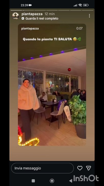 Pianta pazza story lo scherzo