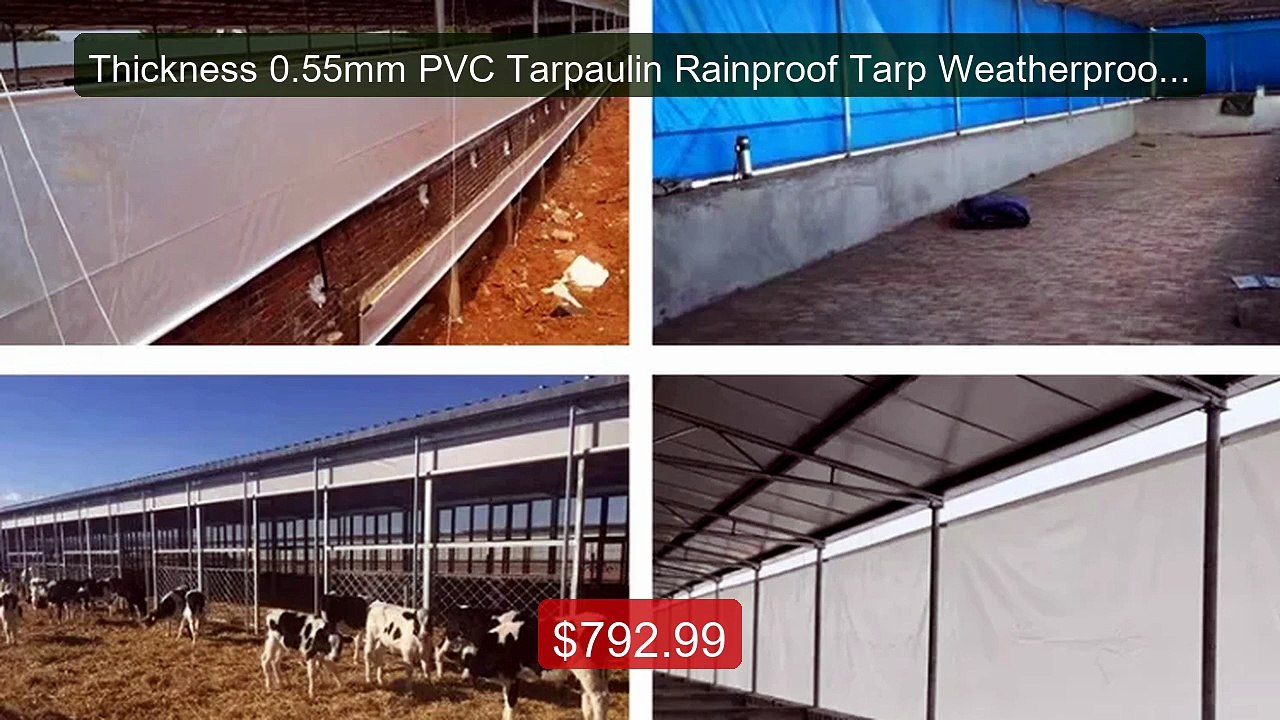 Thickness 0.55mm PVC Tarpaulin Rainproof Tarp Weatherproof & U... -- Hot Deal 2026 | Limited Offer!