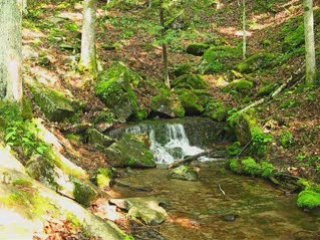 Mountain side Natural Spring