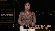 T22 Ep. 18 Gentrificación - Sinapsis