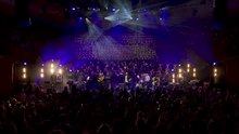 The Cat Empire - Steal The Light (Live at Sydney Opera House)
