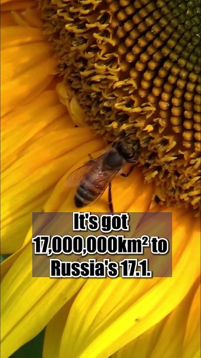 Did you know 15