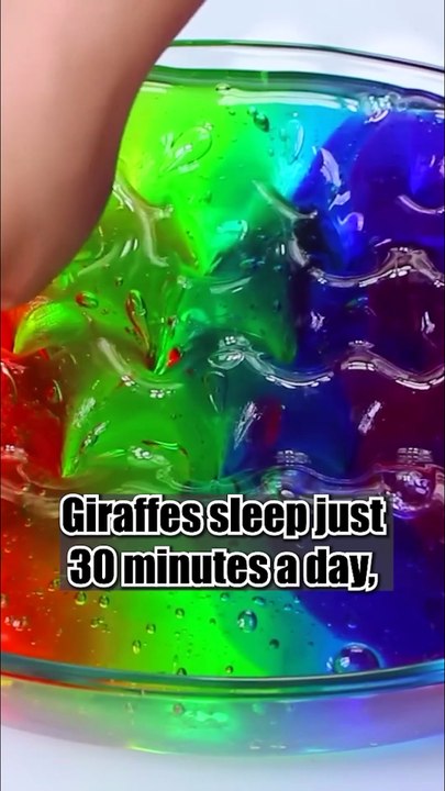Did you know 23