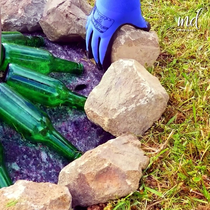 Crafting stunning flower beds from scratch!