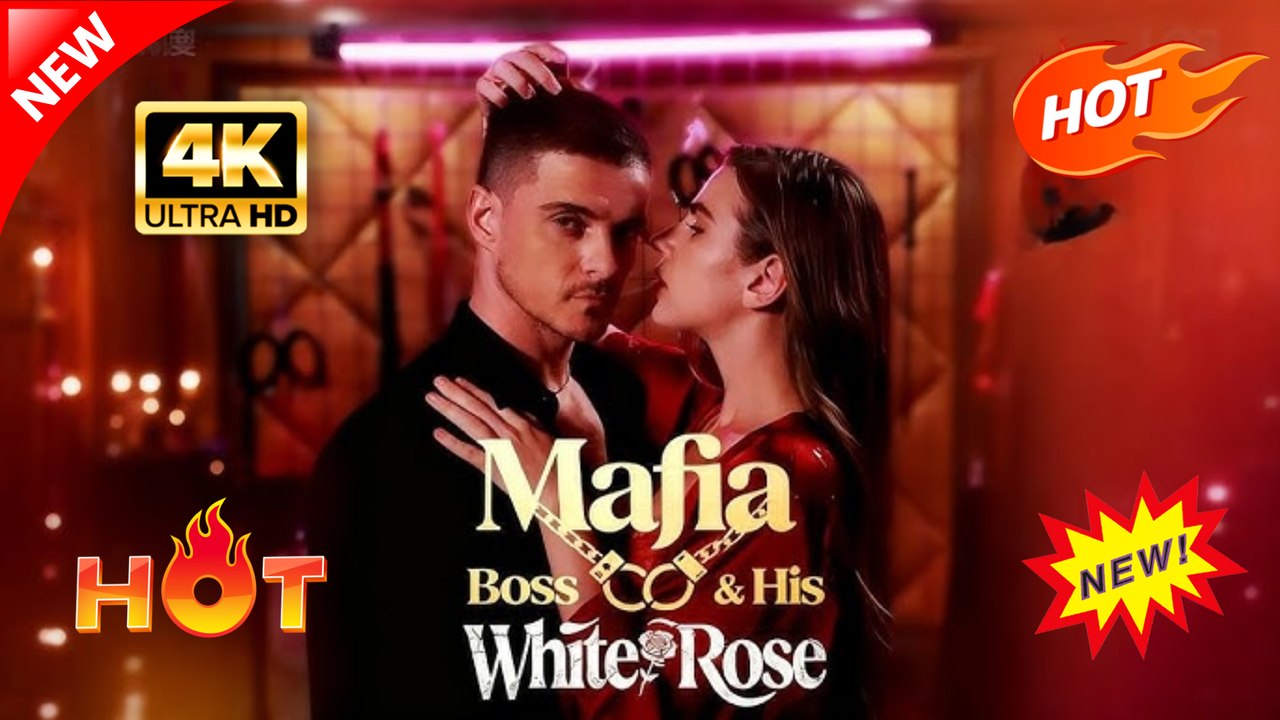 Mafia Boss and His White Rose Hot Romance Dramatic