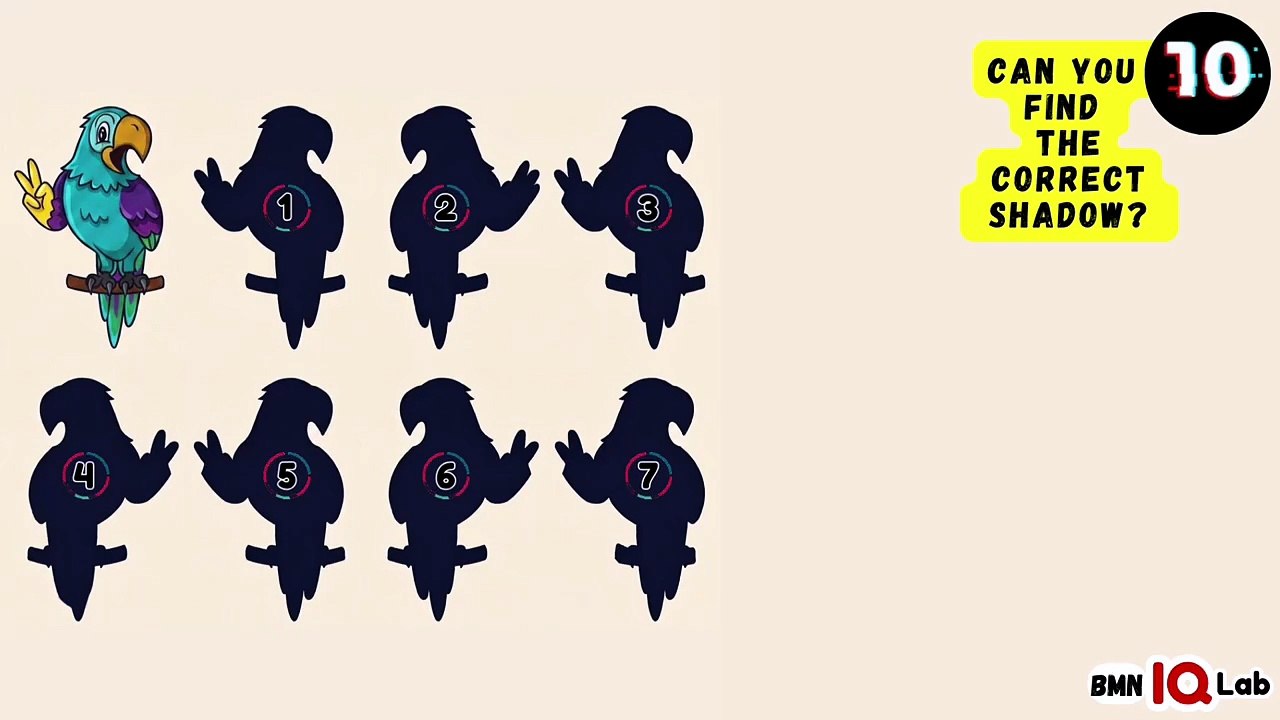 #YourBrainVsShadows 🧠⚔️👥 Can you find the correct shadow? (Part 4) 👥