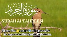 Surah At-Tahreem (سورة التحريم) Full | Beautiful Quran Recitation | Tilawat by Hafiz Muhammad Niaz Abbasi