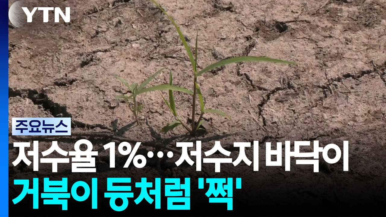저수율 1%...저수지 바닥이 거북이 등처럼 '쩍' / YTN