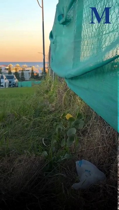 Shell Cove Sportsfield project entry point sparks months-long debate with Council over safety concerns