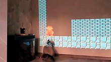 Le chat aime mario
