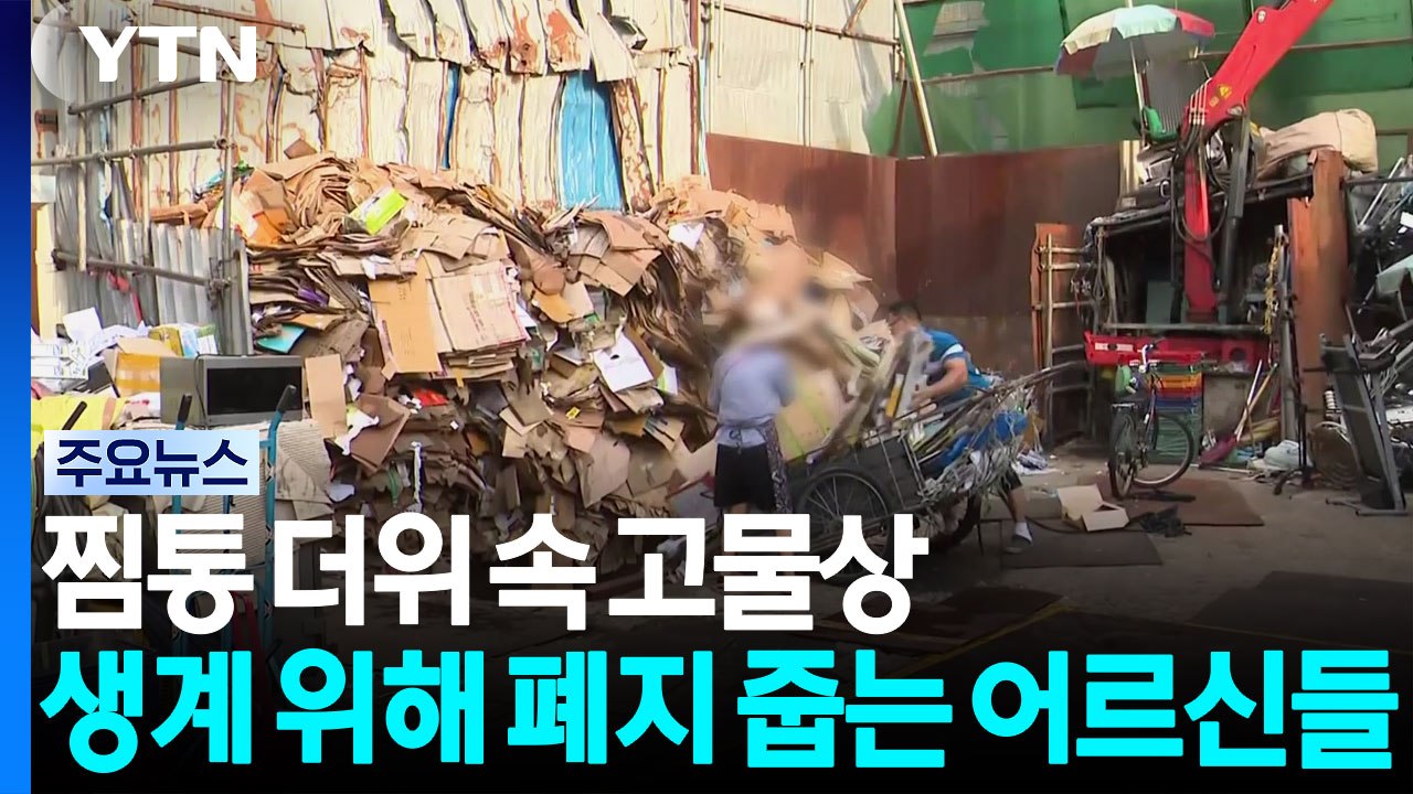 찜통 더위 속 고물상...생계 위해 폐지 줍는 어르신들 / YTN